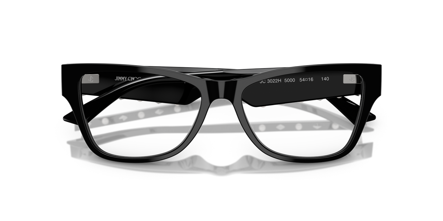 JIMMY CHOO JC3022H 5000 54