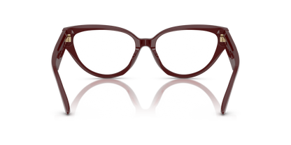 JIMMY CHOO JC3023HU 5057 55