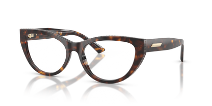 JIMMY CHOO JC3030B 5002 55