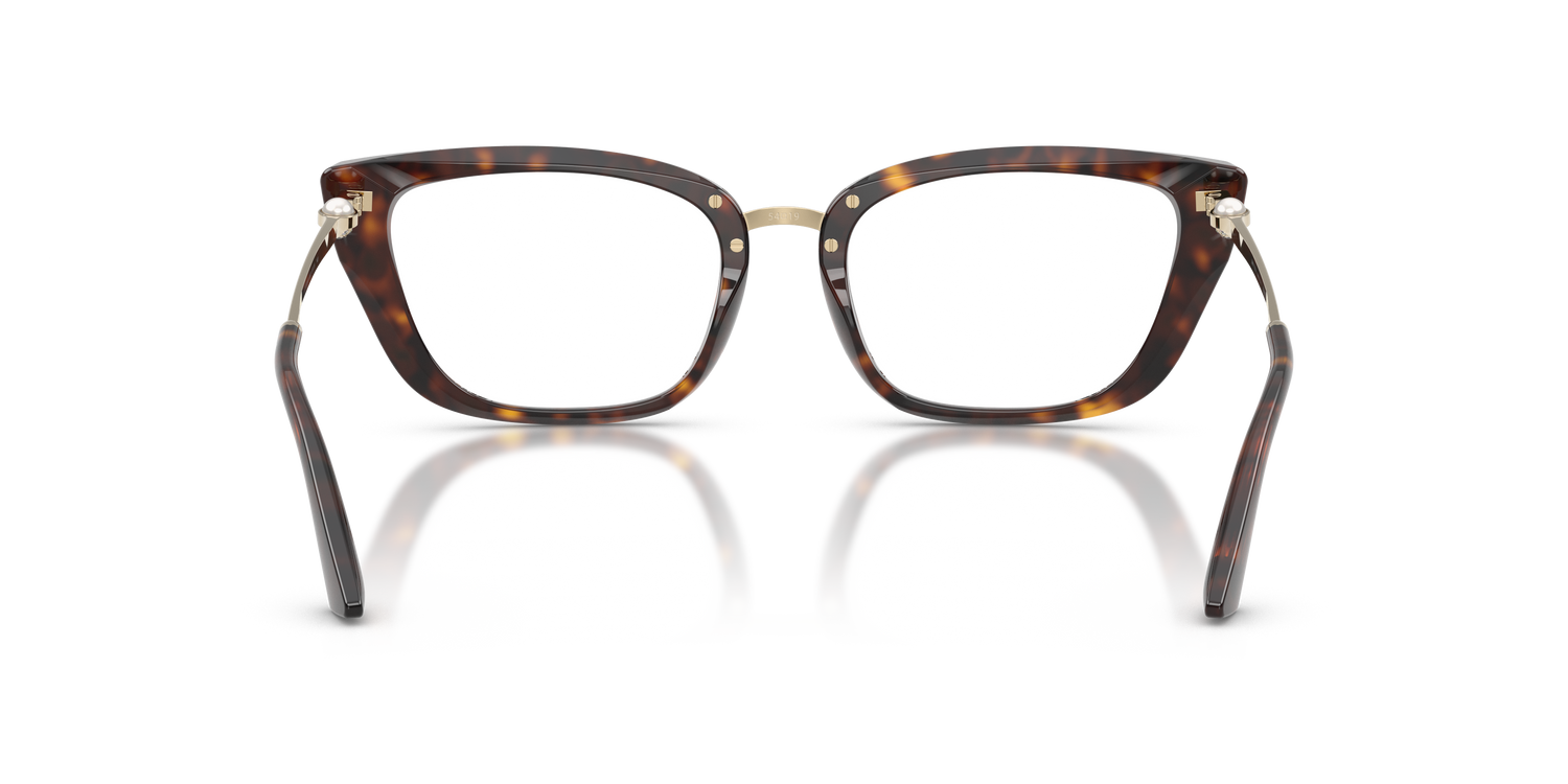 JIMMY CHOO JC3034HB 5002 54