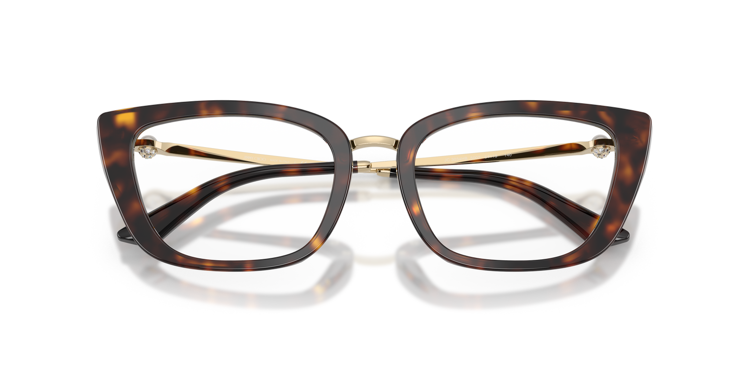 JIMMY CHOO JC3034HB 5002 54