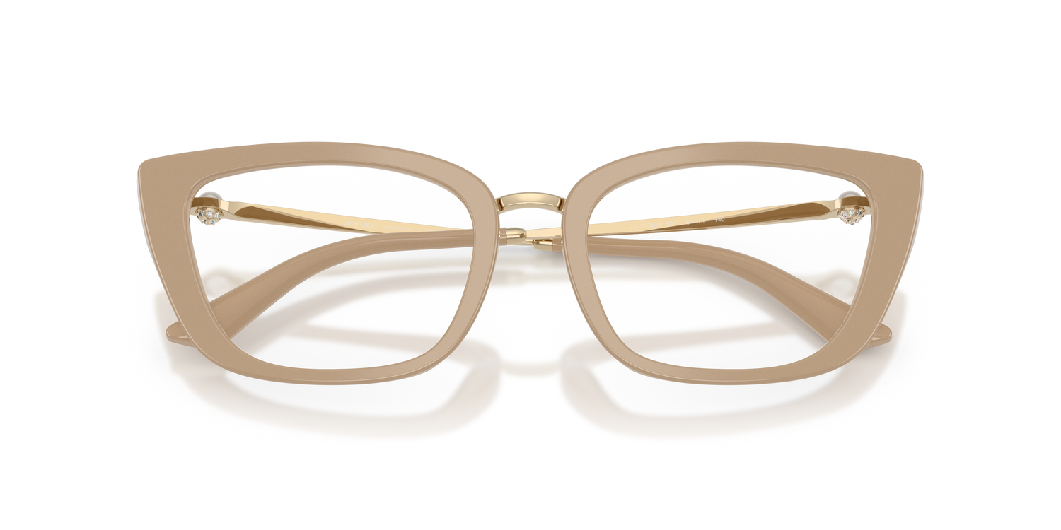 JIMMY CHOO JC3034HB 5015 54