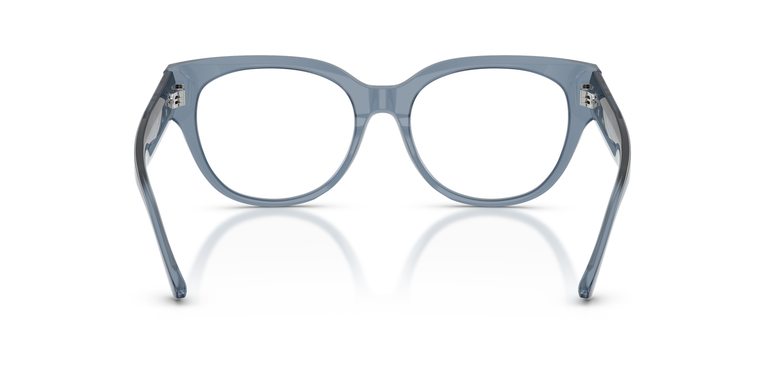 JIMMY CHOO JC3035 5067 51