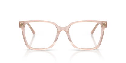 JIMMY CHOO JC3038D 5052 54