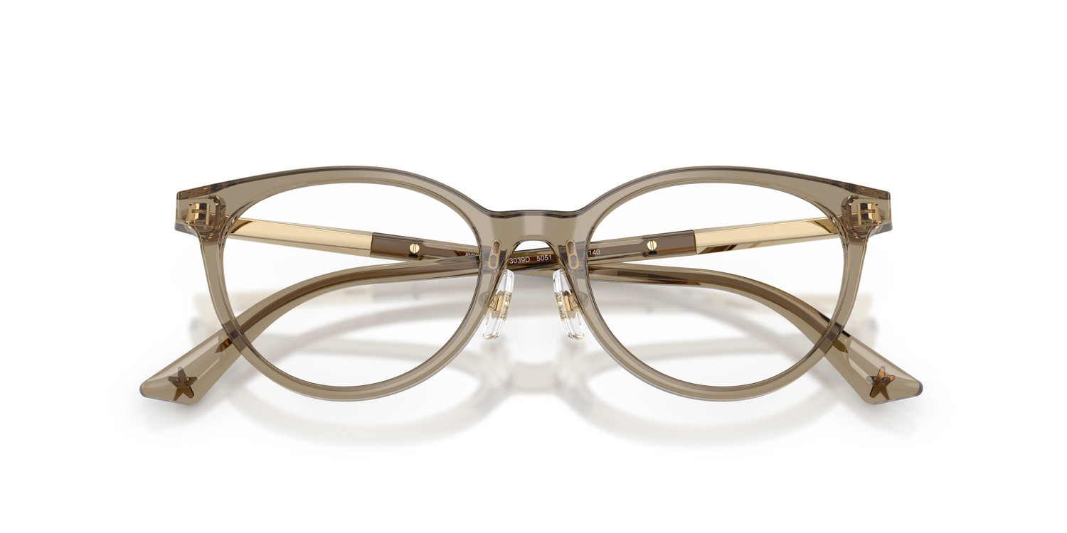 JIMMY CHOO JC3039D 5051 48