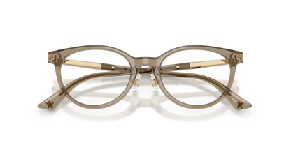 JIMMY CHOO JC3039D 5051 48