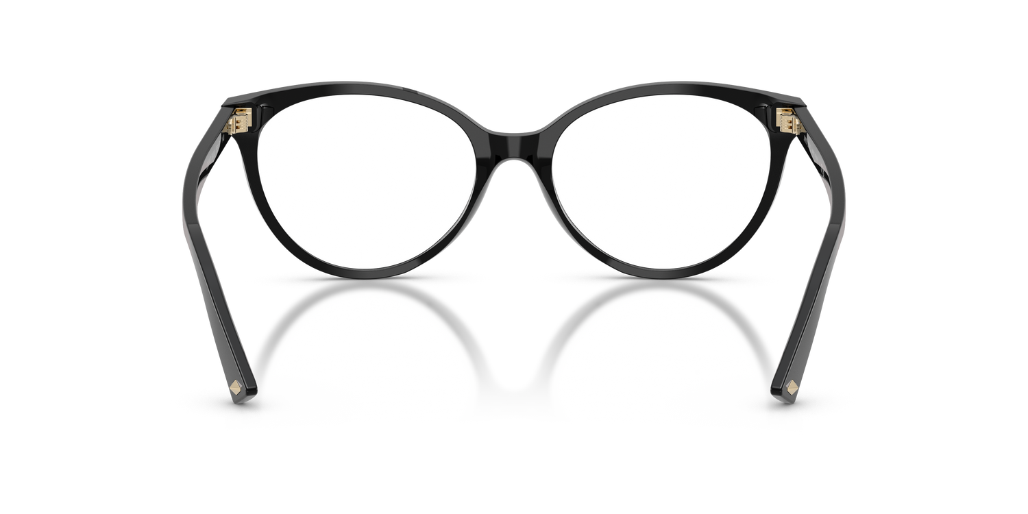 JIMMY CHOO JC3047 5000 55