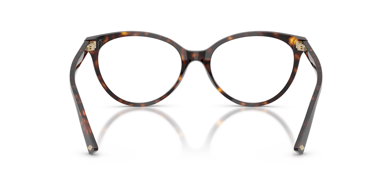 JIMMY CHOO JC3047 5002 55