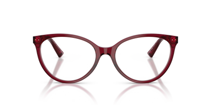 JIMMY CHOO JC3047 5062 49