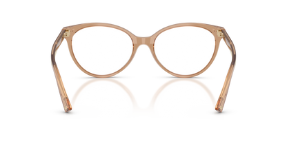 JIMMY CHOO JC3047 5076 49