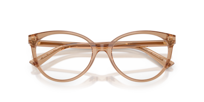 JIMMY CHOO JC3047 5076 55