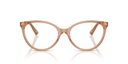 JIMMY CHOO JC3047 5076 55