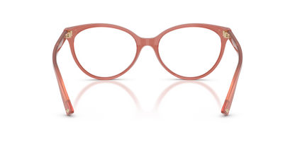 JIMMY CHOO JC3047 5084 55