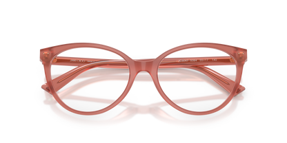 JIMMY CHOO JC3047 5084 55