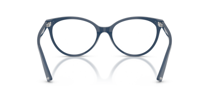 JIMMY CHOO JC3047 5088 55