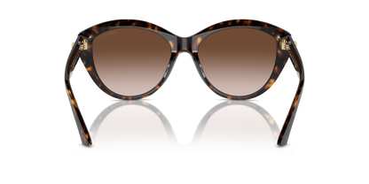 JIMMY CHOO JC5007 500213 55