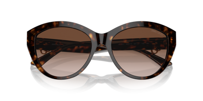 JIMMY CHOO JC5007 500213 55