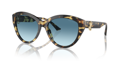 JIMMY CHOO JC5007 500419 55