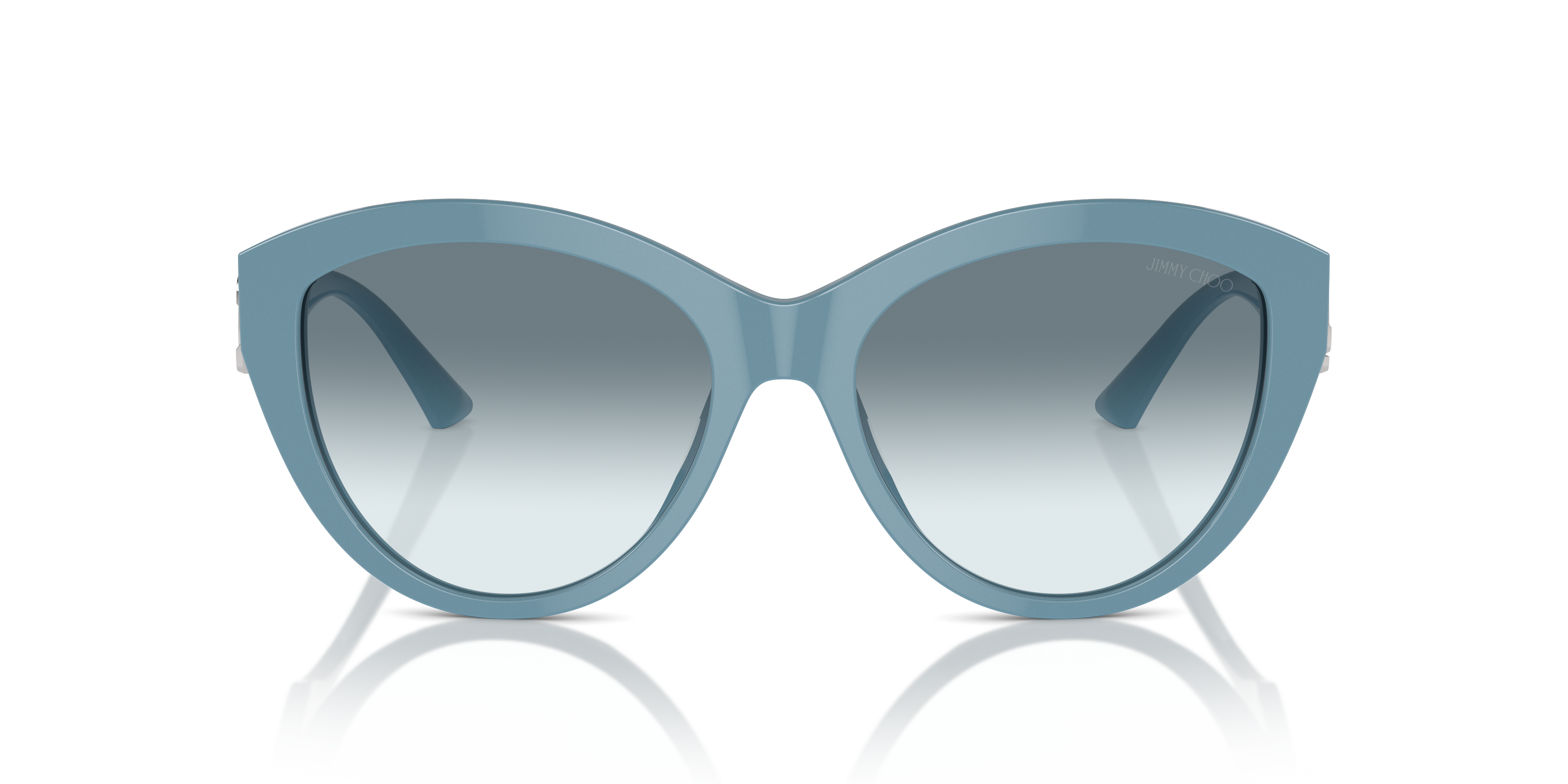 JIMMY CHOO JC5007 501219 55