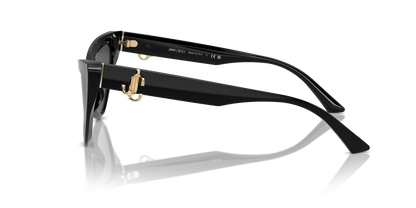 JIMMY CHOO JC5008 500087 55