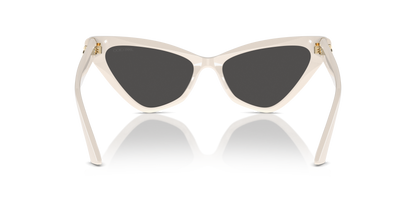 JIMMY CHOO JC5008 500887 55