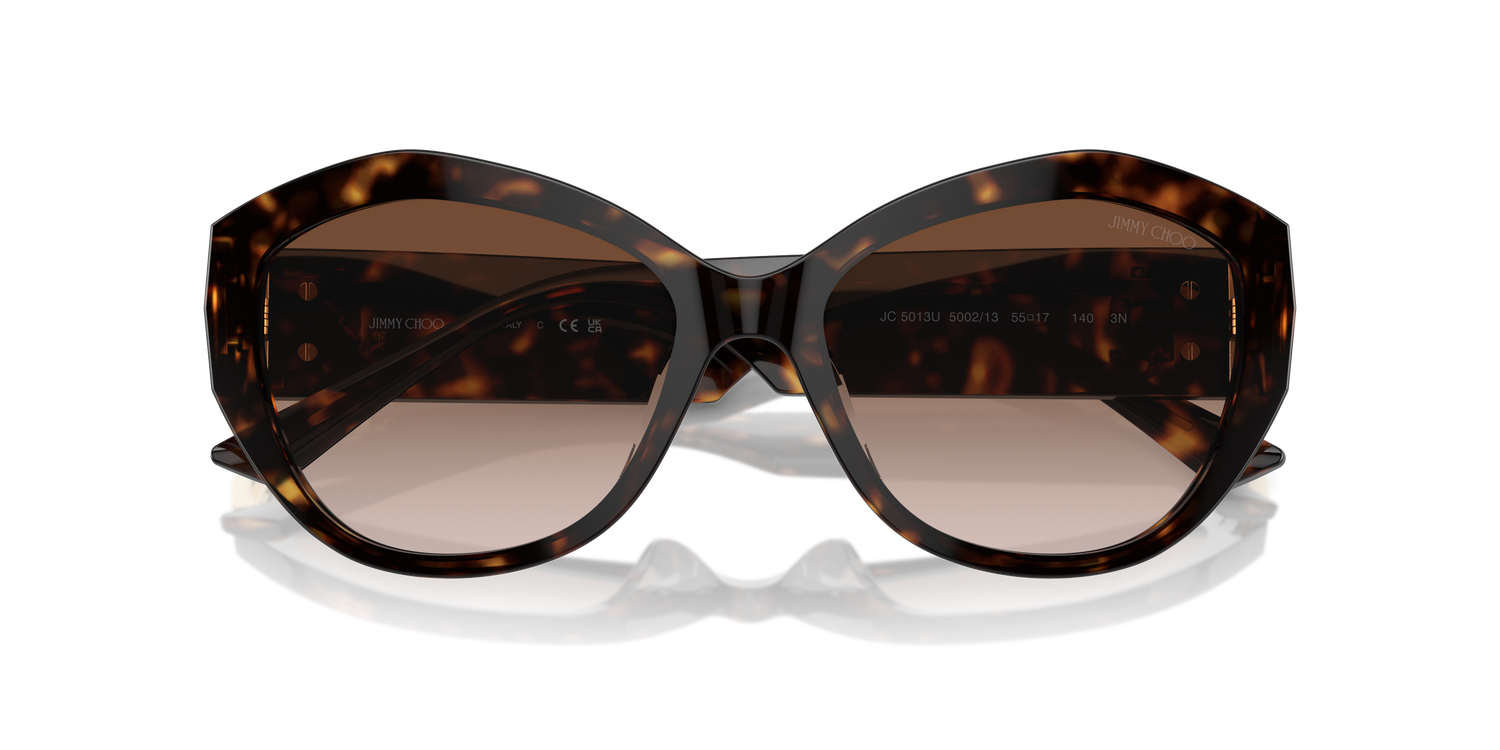 JIMMY CHOO JC5013U 500213 55