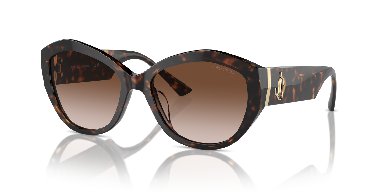 JIMMY CHOO JC5013U 500213 55