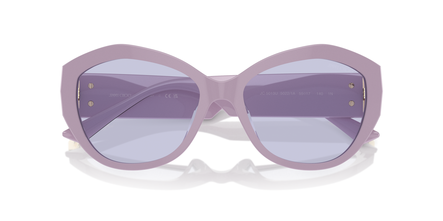 JIMMY CHOO JC5013U 50221A 55