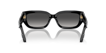 JIMMY CHOO JC5017 50008G 55