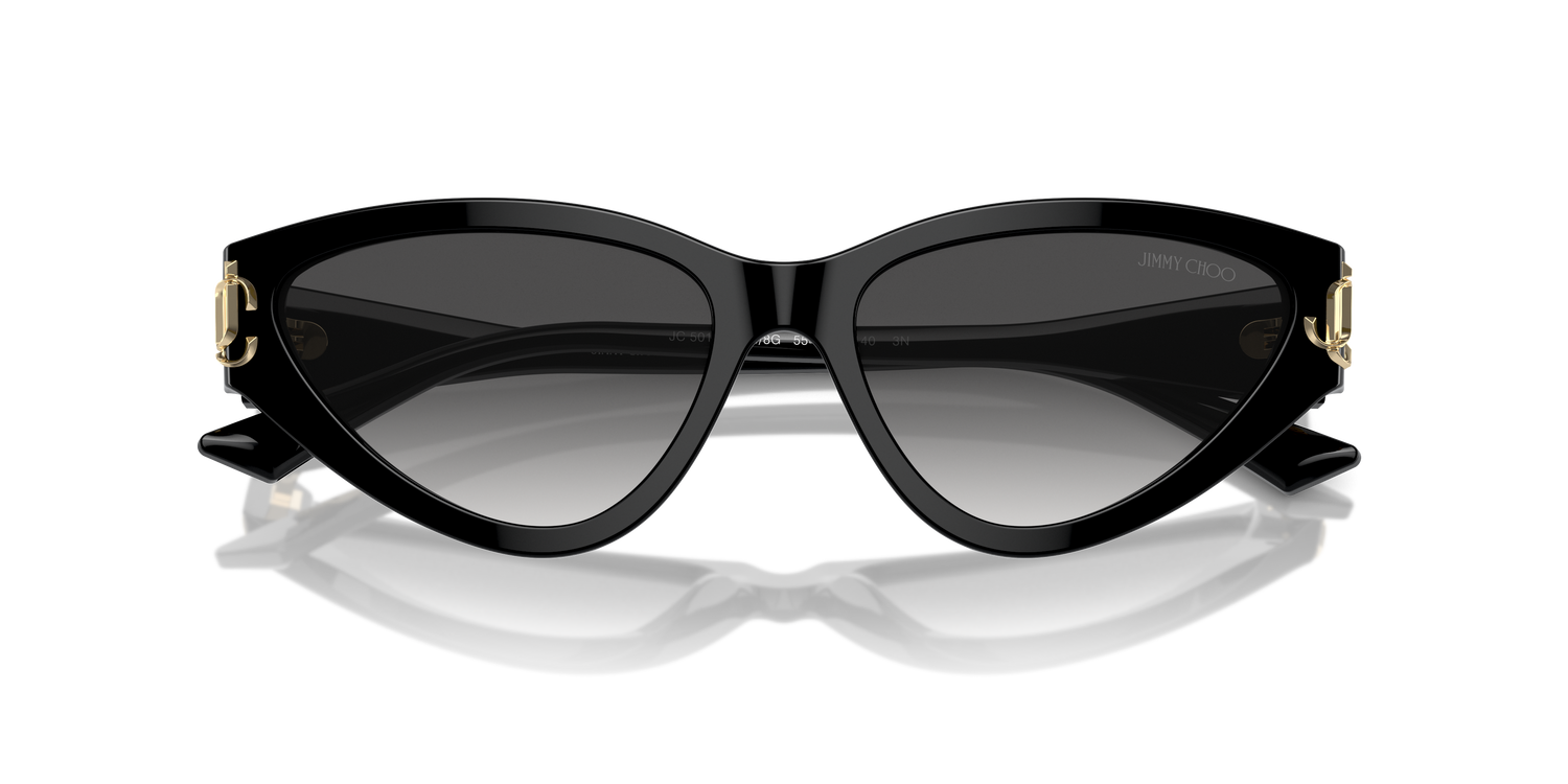 JIMMY CHOO JC5019 50008G 55