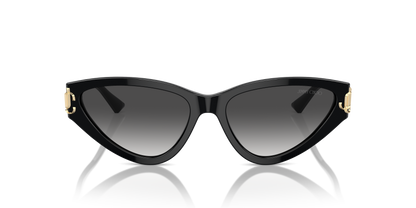 JIMMY CHOO JC5019 50008G 55