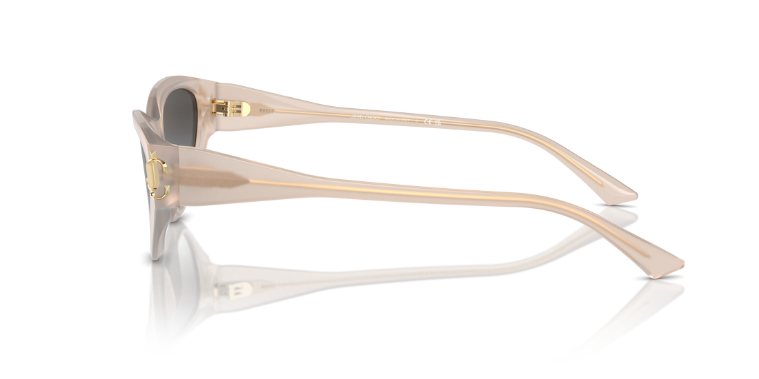 JIMMY CHOO JC5019 50258G 55