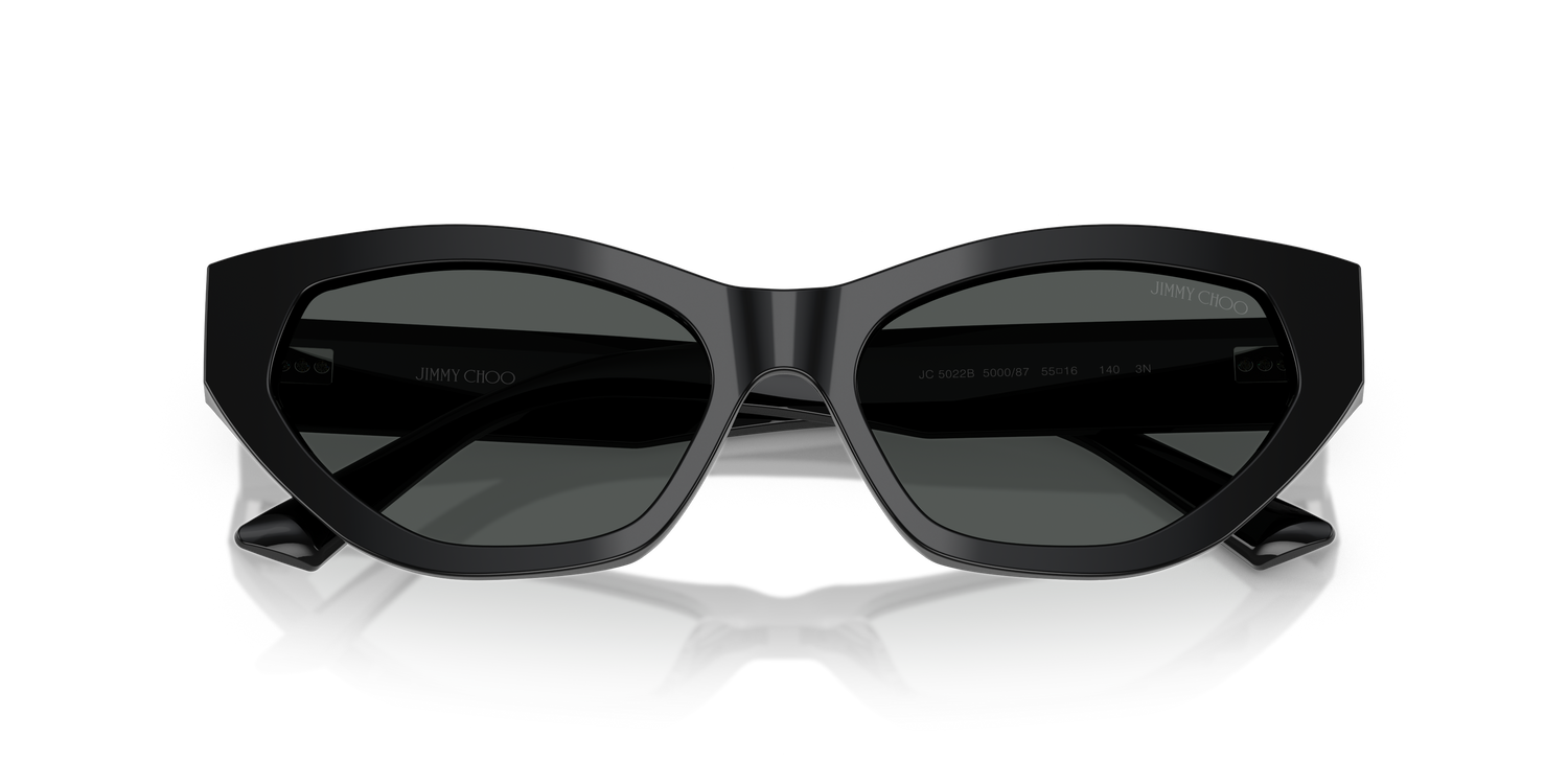 JIMMY CHOO JC5022B 500087 55