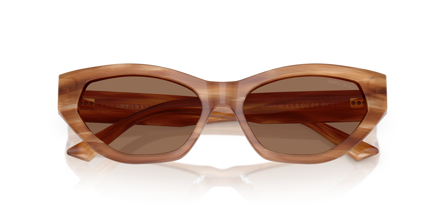 JIMMY CHOO JC5022B 505573 55