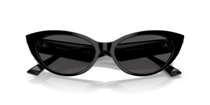 JIMMY CHOO JC5023H 500087 55