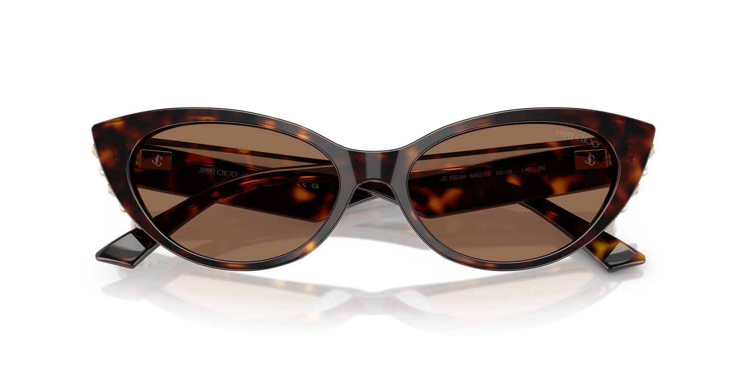 JIMMY CHOO JC5023H 500273 55