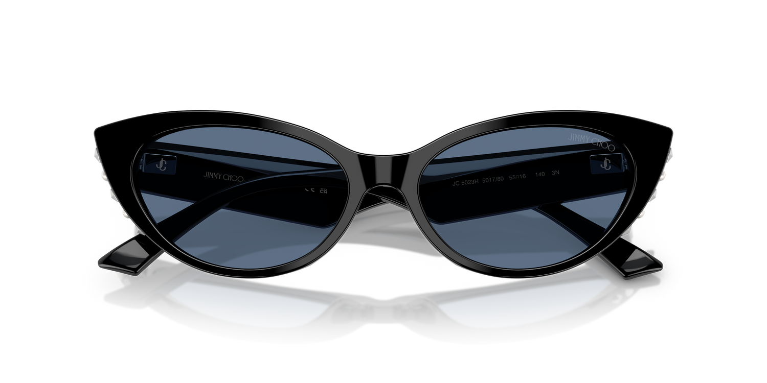 JIMMY CHOO JC5023H 501780 55