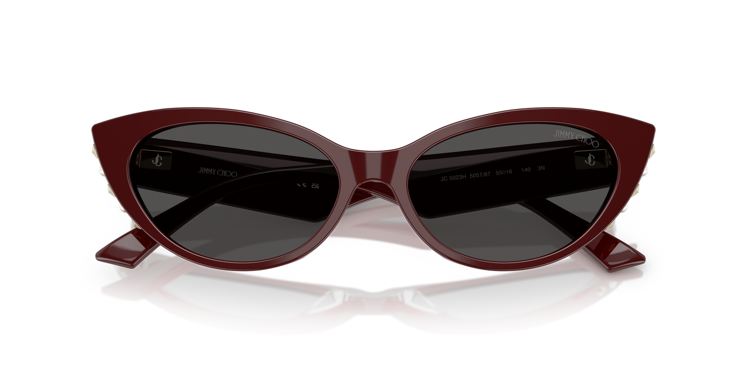 JIMMY CHOO JC5023H 505787 55