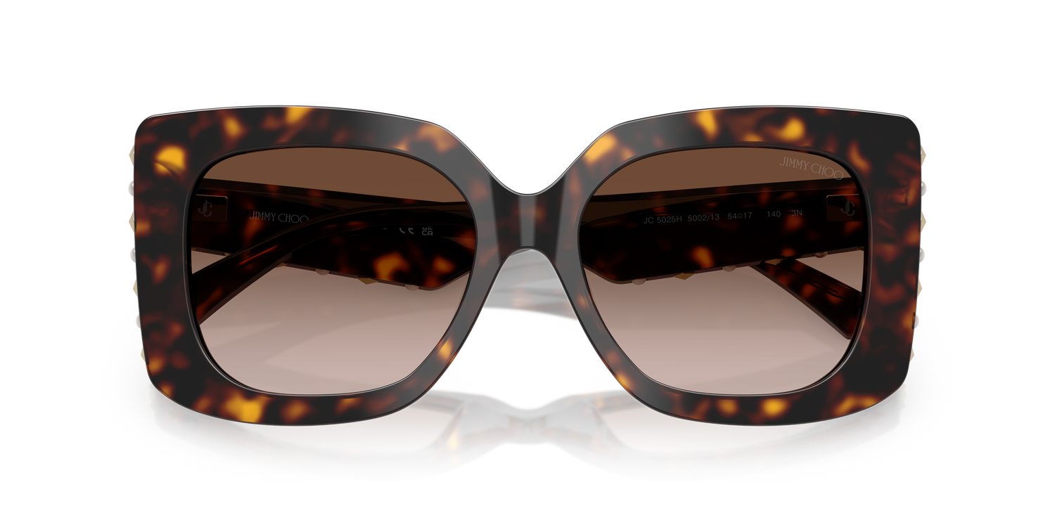 JIMMY CHOO JC5025H 500213 54