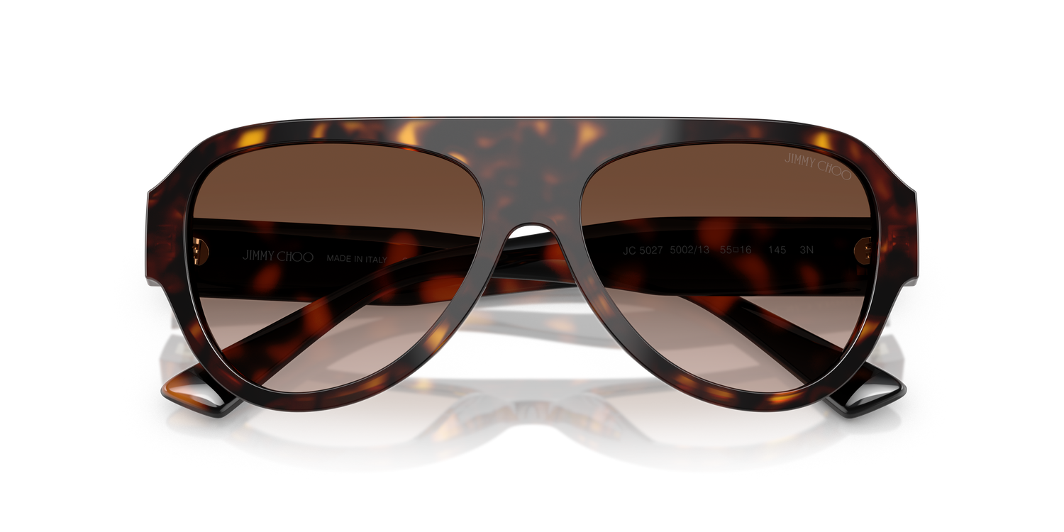JIMMY CHOO JC5027 500213 55