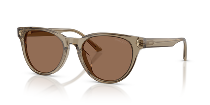 JIMMY CHOO JC5043D 505173 53