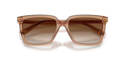 JIMMY CHOO JC5051 507613 55