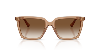 JIMMY CHOO JC5051 507613 55