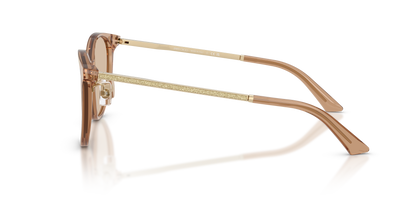 JIMMY CHOO JC5056JD 507693 54