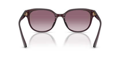 JIMMY CHOO JC5057D 50866X 55