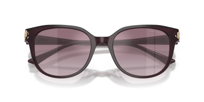 JIMMY CHOO JC5057D 50866X 55