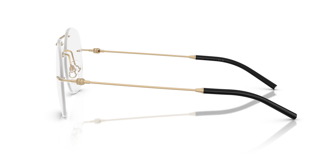 MONCLER ME1003 1006 55