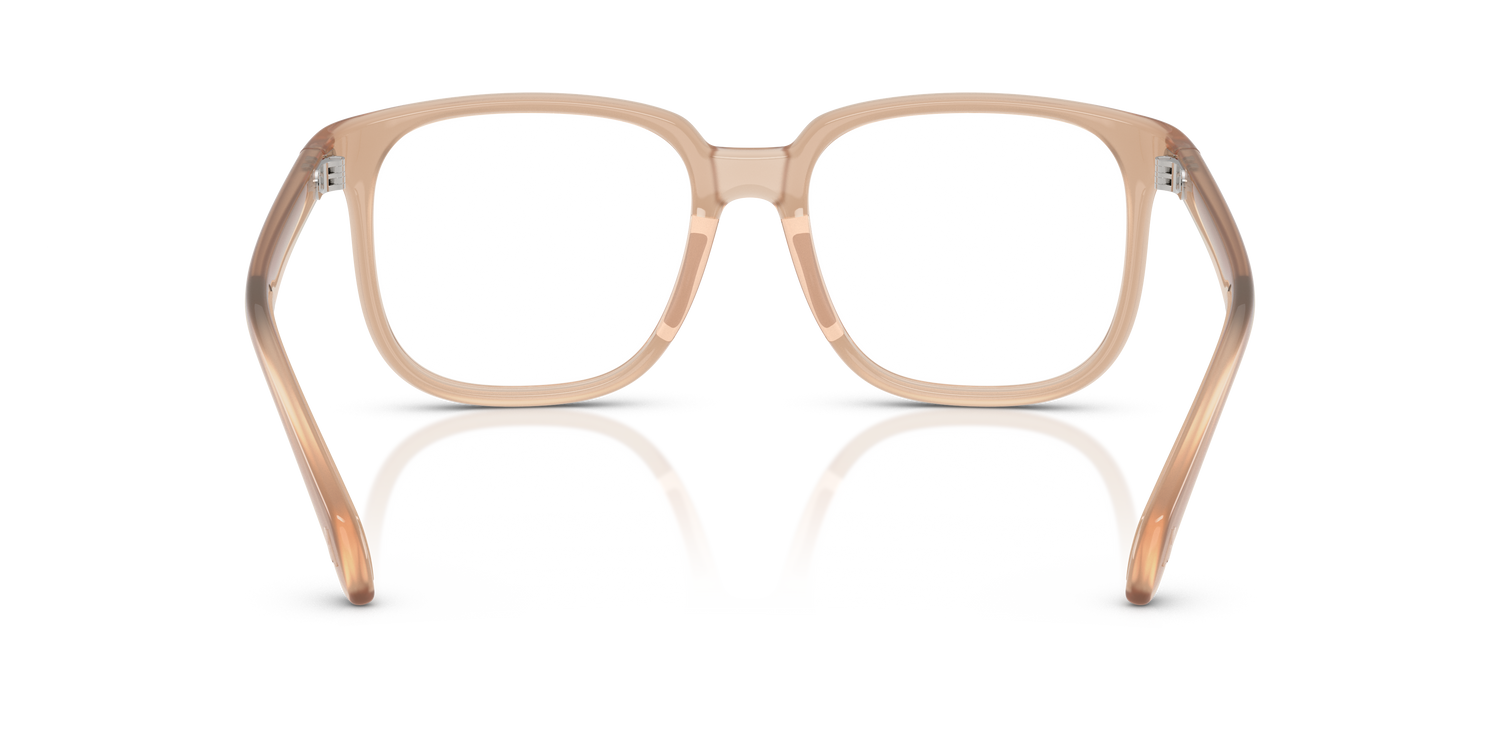 MONCLER ME3003 5011 55