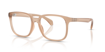 MONCLER ME3003 5011 55