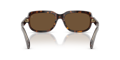 MONCLER ME6008 SUNTRAP 300273 55